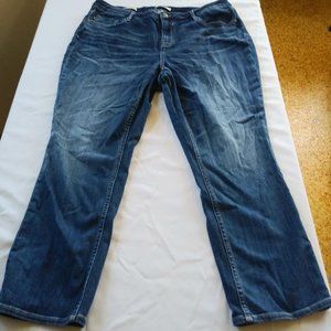 4/$25 WOMENS MARLEY STRAIGHT JEANS BY VIGOSS SIZE 20